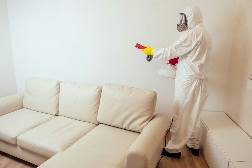 pest control worker in uniform spraying pesticides under couch in living lounge room