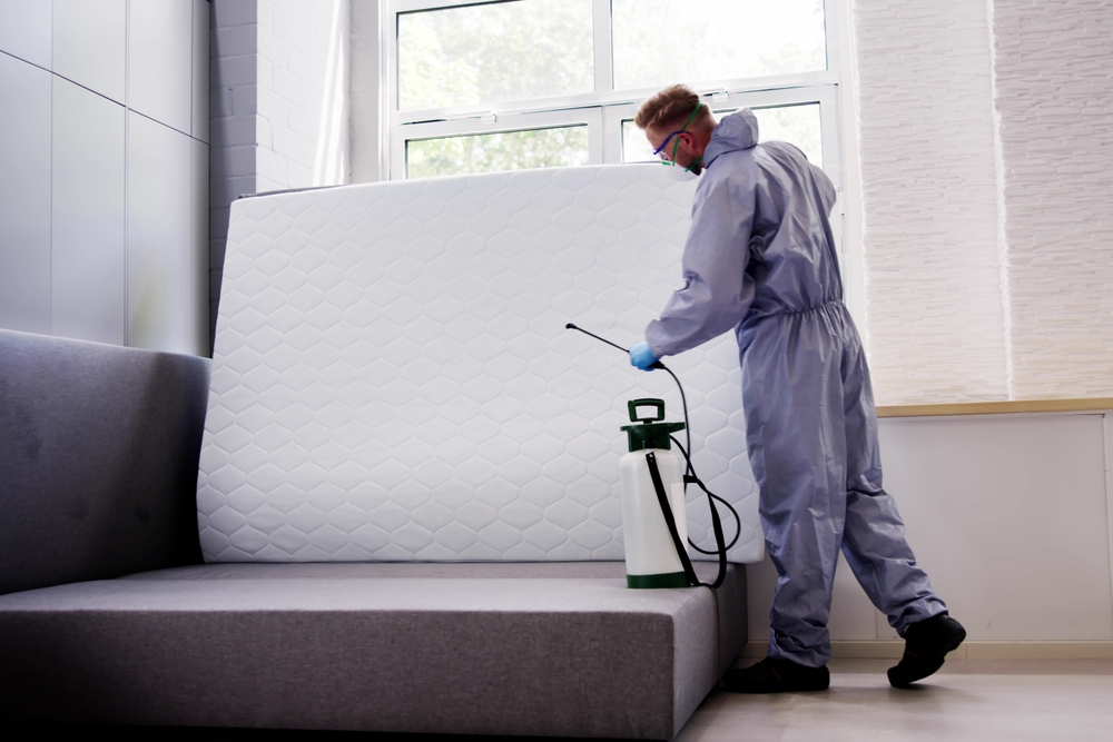 Pest,Control,Service.,Bug,Bed,Treatment,By,Exterminator